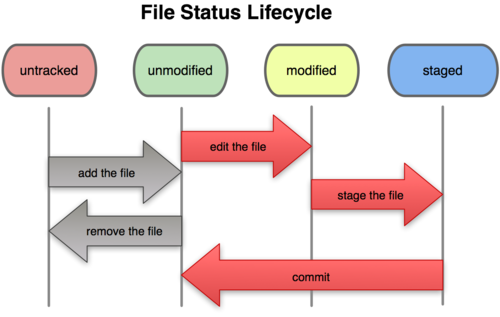 life_cycle